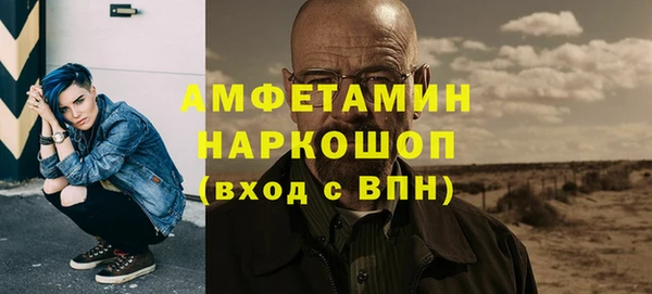 метадон Богданович
