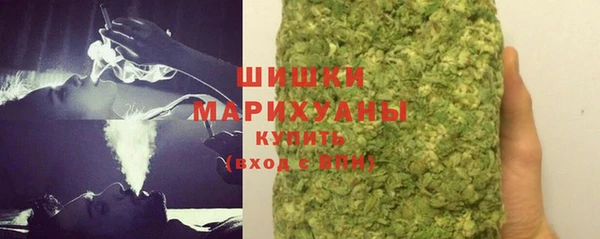 метадон Богданович