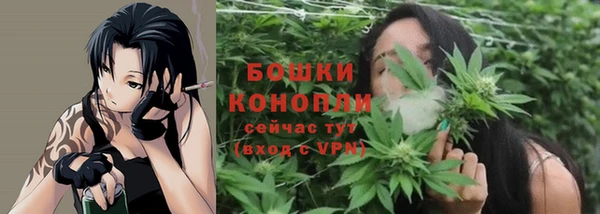 mix Богородицк