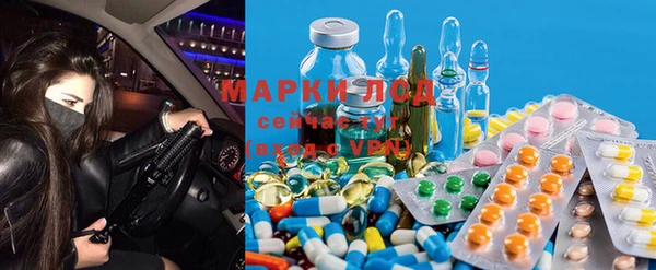 метадон Богданович
