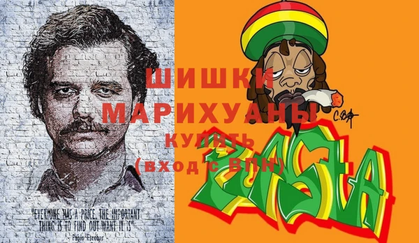 mix Богородицк