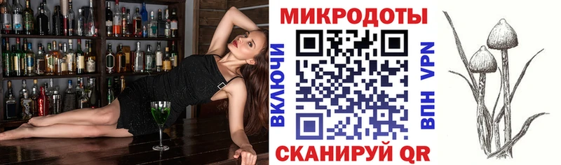 Псилоцибиновые грибы мицелий  Мариинский Посад 