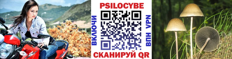 Псилоцибиновые грибы Cubensis Мариинский Посад